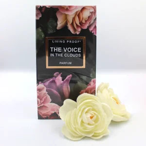 THE VOICE IN THE CLOUDS PARFUME